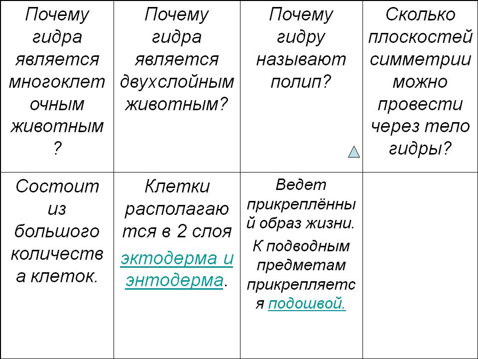 Кракен это современный даркнет маркет плейс