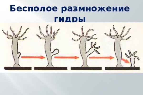 Как пополнить кошелек на кракене