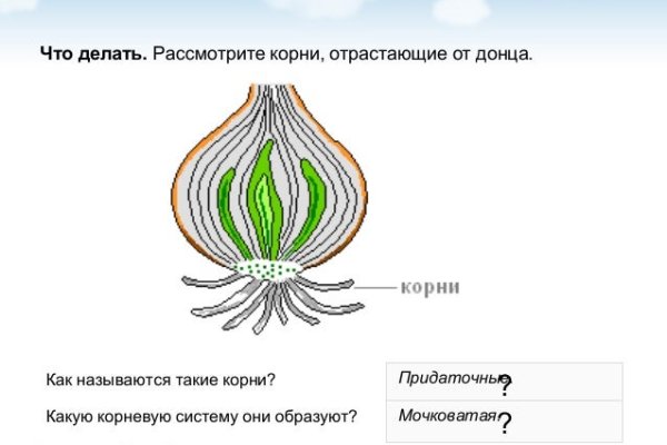 Как восстановить аккаунт кракен